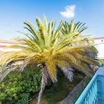 Apartmán In Meernaehe Auf Sardinien *
